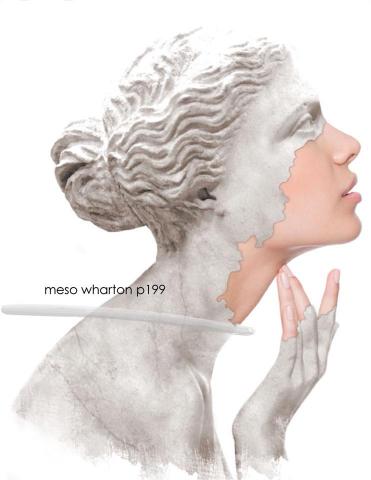 Meso-Wharton P199 - самый эффективный на сегодняшний день препарат для терапии возрастных изменений кожи!